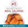 imagePurina ONE Natural Dry Cat Food Tender Selects Blend With Real Chicken  22 lb BagSalmon
