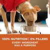 imagePurina ONE Plus Healthy Weight HighProtein Dog Food Dry Formula  165 lb Bag