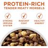 imagePurina ONE Plus Healthy Weight HighProtein Dog Food Dry Formula  165 lb Bag