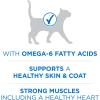 imagePurina ONE Plus High Protein Cat Food Dry Salmon and Ocean Whitefish Cat Skin and Coat Health Formula  22 lb Bag