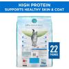 imagePurina ONE Plus High Protein Cat Food Dry Salmon and Ocean Whitefish Cat Skin and Coat Health Formula  22 lb Bag