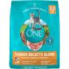 imagePurina ONE Natural Dry Cat Food Tender Selects Blend With Real Chicken  22 lb BagChicken