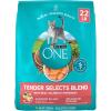 imagePurina ONE Natural Dry Cat Food Tender Selects Blend With Real Chicken  22 lb BagSalmon