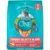 imagePurina ONE Natural Dry Cat Food Tender Selects Blend With Real Salmon  7 lb Bag