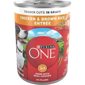imagePurina ONE Natural High Protein Dog Food Tender Cuts in Gravy Chicken and Brown Rice Entre  13 Ounce Pack of 12