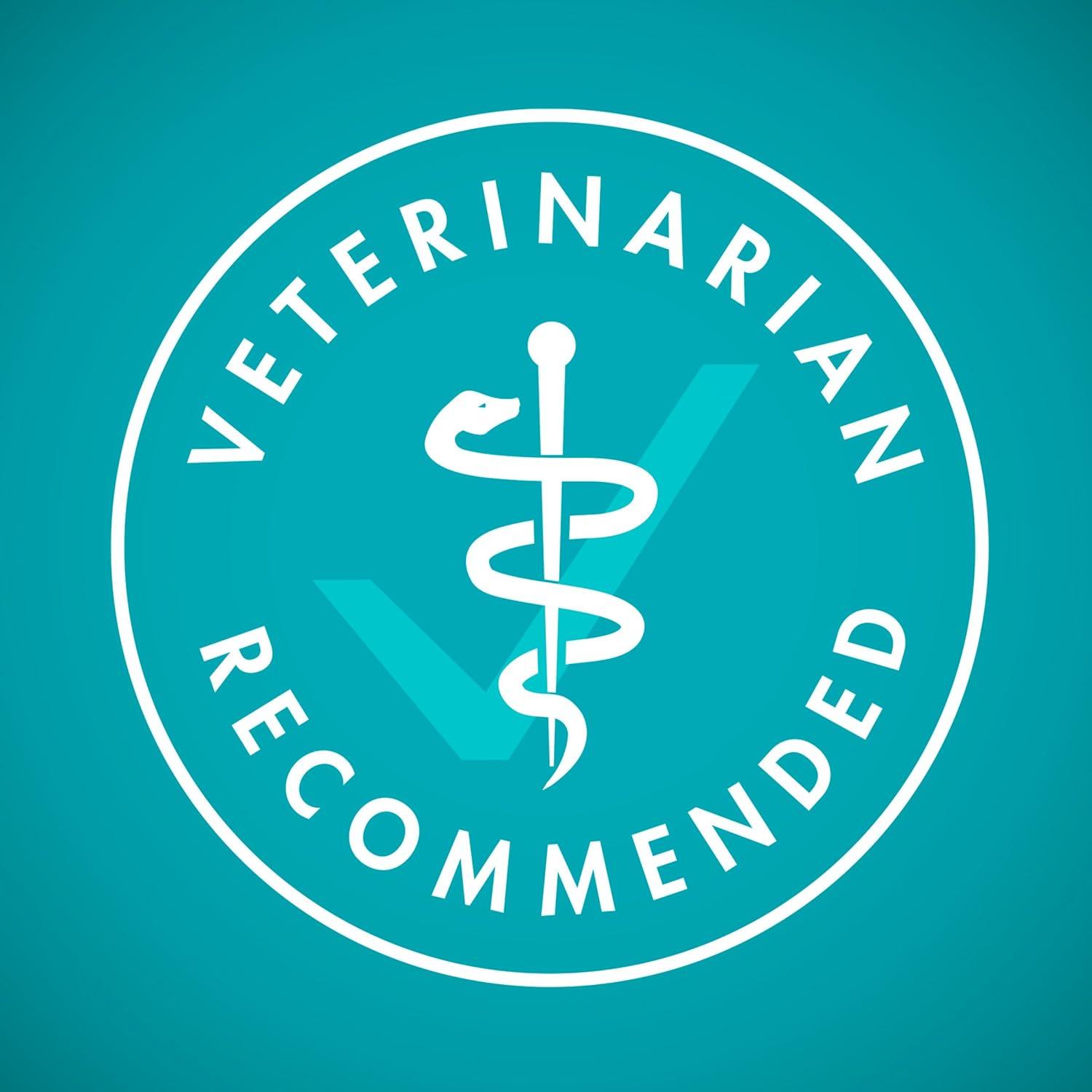 imagePurina ONE High Protein Natural Senior Dry Cat Food Indoor Advantage Senior  35 lb Bag35 Pound Pack of 1