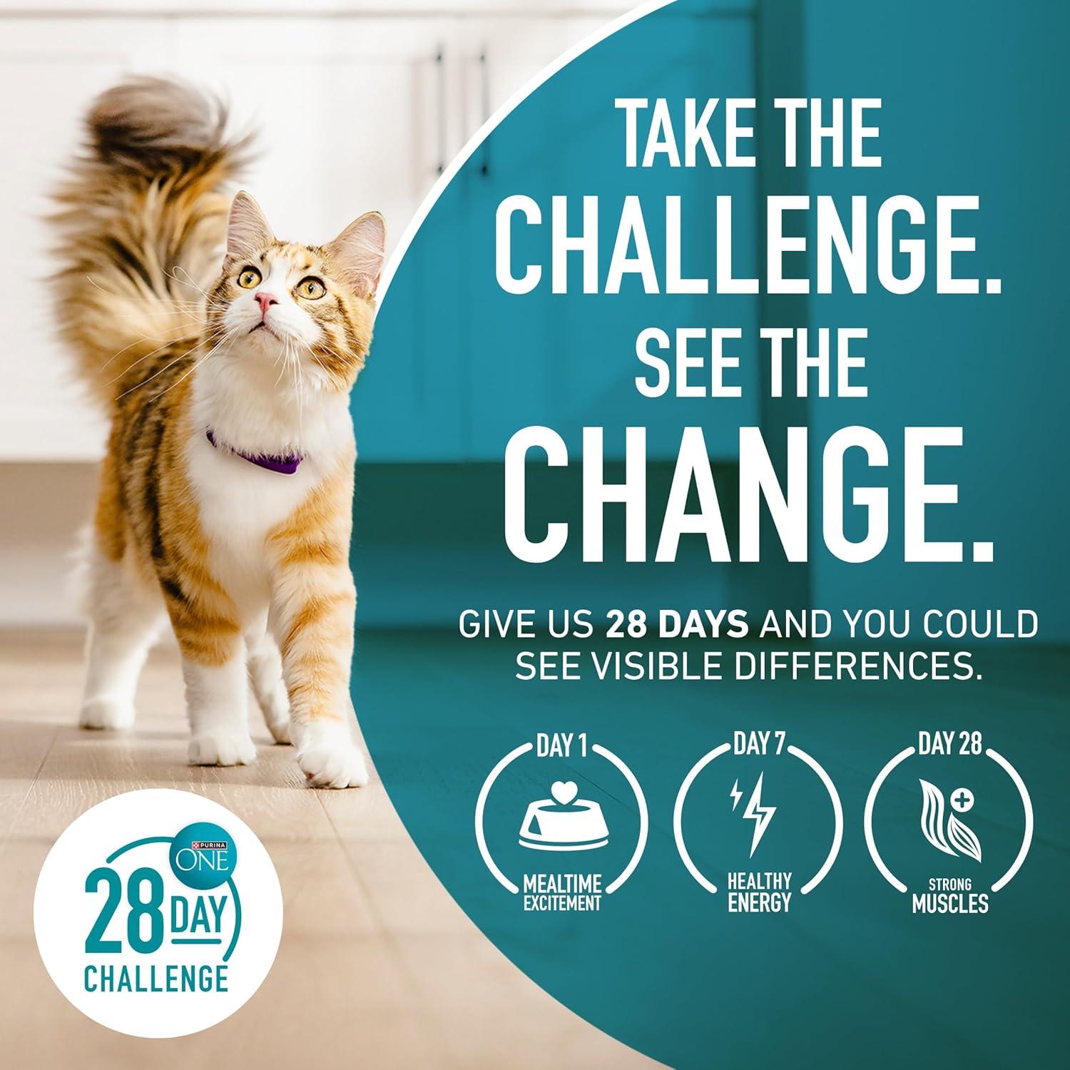 imagePurina ONE High Protein Natural Senior Dry Cat Food Indoor Advantage Senior  35 lb Bag7 Pound Pack of 1