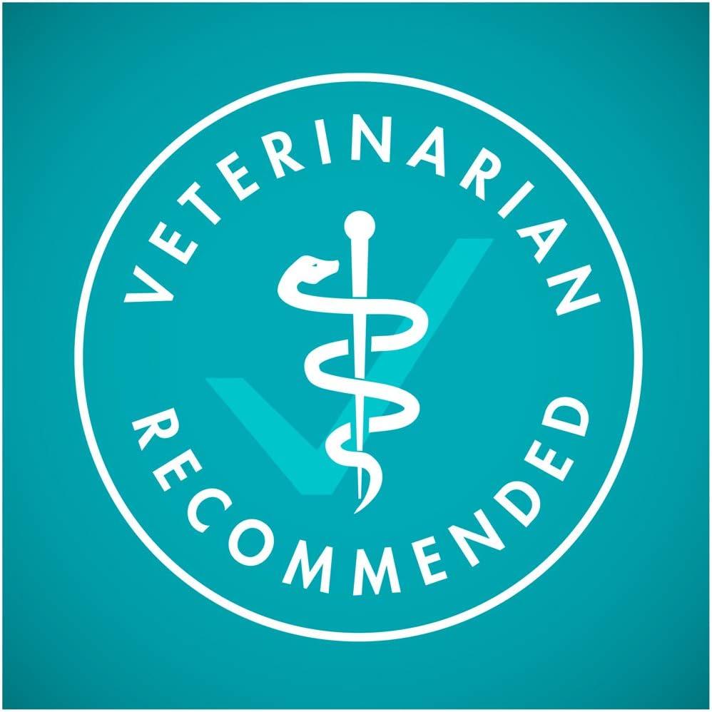 imagePurina ONE High Protein Natural Senior Dry Cat Food Indoor Advantage Senior  35 lb Bag7 Pound Pack of 1