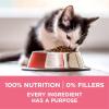 imagePurina ONE High Protein Natural Dry Kitten Food Plus Healthy Kitten Formula  16 lb Bag