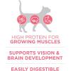 imagePurina ONE High Protein Natural Dry Kitten Food Plus Healthy Kitten Formula  16 lb Bag