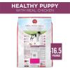 imagePurina ONE Plus Healthy Puppy Formula High Protein Natural Dry Puppy Food with added vitamins minerals and nutrients  165 lb Bag1 Count Pack of 1