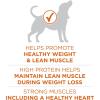imagePurina ONE Plus Healthy Weight HighProtein Dog Food Dry Formula  311 lb Bag