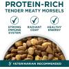 imagePurina ONE Plus Large Breed Puppy Food Dry Formula  165 lb Bag40 Pound Pack of 1