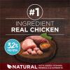 imagePurina ONE True Instinct with Real Chicken and Duck High Protein Puppy Food Formula Natural with Added Vitamins Minerals and Nutrients  15 lb Bag74 Pound Pack of 1