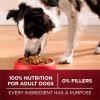 imagePurina One True Instinct Lean Muscle Support With Real Beef Natural With Added Vitamins Minerals and Nutrients High Protein Dog Food  15 lb Bag275 Pound Pack of 1