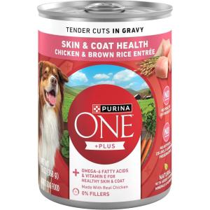 imagePurina ONE Tender Cuts Skin ampamp Coat Chicken ampamp Brown Rice Wet Dog Food  13 oz Can13 Ounce Pack of 12
