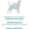 imagePurina One Plus Digestive Health Formula Dry Dog Food Natural with Added Vitamins Minerals and Nutrients  311 Lb Bag311 Pound Pack of 1