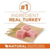 imagePurina One Plus Dry Dog Food High Protein Healthy Weight Real Turkey  40 lb BagTurkey