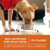 imagePurina One Plus Dry Dog Food High Protein Healthy Weight Real Turkey  40 lb BagTurkey