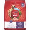 imagePurina ONE High Protein Dry Senior Dog Food Plus Vibrant Maturity Adult 7 Plus Formula  165 Lb BagChicken