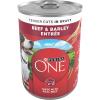 imagePurina ONE High Protein Wet Dog Food True Instinct Tender Cuts in Dog Food Gravy With Real Beef and WildCaught Salmon  Pack of 12 13 oz CansBeef