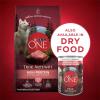imagePurina ONE High Protein Wet Dog Food True Instinct Tender Cuts in Dog Food Gravy With Real Beef and WildCaught Salmon  Pack of 12 13 oz CansBeef