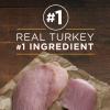 imagePurina ONE High Protein Wet Dog Food True Instinct Tender Cuts in Dog Food Gravy With Real Beef and WildCaught Salmon  Pack of 12 13 oz CansTurkey