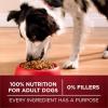 imagePurina ONE Natural High Protein Dry Dog Food Dry True Instinct with Real Beef and Salmon With Bone Broth and Added Vitamins Minerals and Nutrients  275 lb BagDuck