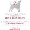 imagePurina ONE Natural Sensitive Stomach Dry Dog Food Plus Skin ampamp Coat Formula  311 lb Bag311 Pound Pack of 1