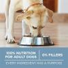 imagePurina ONE Plus Joint Health Formula Natural With Added Vitamins Minerals and Nutrients Dry Dog Food  311 lb Bag165 Pound Pack of 1