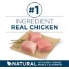 imagePurina ONE Plus Large Breed Adult Dog Food Dry Formula Real Protein Rich Natural Chicken Flavor  40 lb BagChicken