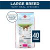 imagePurina ONE Plus Large Breed Adult Dog Food Dry Formula Real Protein Rich Natural Chicken Flavor  40 lb BagChicken