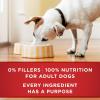 imagePurina ONE Tender Cuts Brain ampamp Heart Chicken ampamp Brown Rice Wet Dog Food  13 oz Can