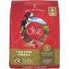 imagePurina ONE Chicken and Rice Formula Dry Dog Food  40 lb BagLamb  Rice