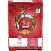 imagePurina ONE Natural Sensitive Stomach Dry Dog Food Plus Skin ampamp Coat Formula  311 lb Bag165 Pound Pack of 1