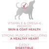 imagePurina ONE Natural Sensitive Stomach Dry Dog Food Plus Skin amp Coat Formula  8 lb Bag