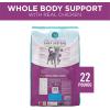 imagePurina ONE Plus Whole Body Support with Chicken Dry Cat Food  22 lb Bag