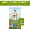 imagePurina ONE Plus Whole Body Support with Chicken Dry Dog Food  4 lb Bag