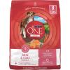 imagePurina ONE Natural Sensitive Stomach Dry Dog Food Plus Skin amp Coat Formula  8 lb Bag